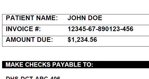 Sample Payment Stub